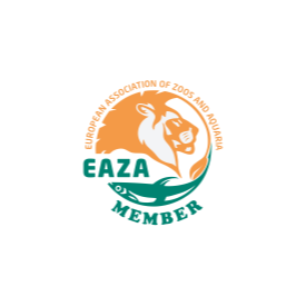 logo-eaza